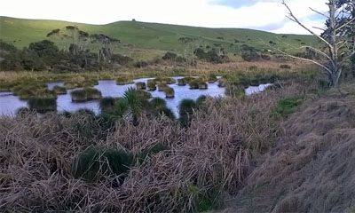 The flagship sites of the Kaipara Harbour