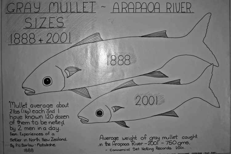 Fisheries Fisheries